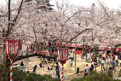 倉吉市の旬・イベント情報はこちら